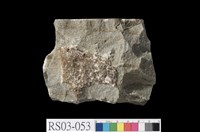 藏品(變質砂岩)的圖片